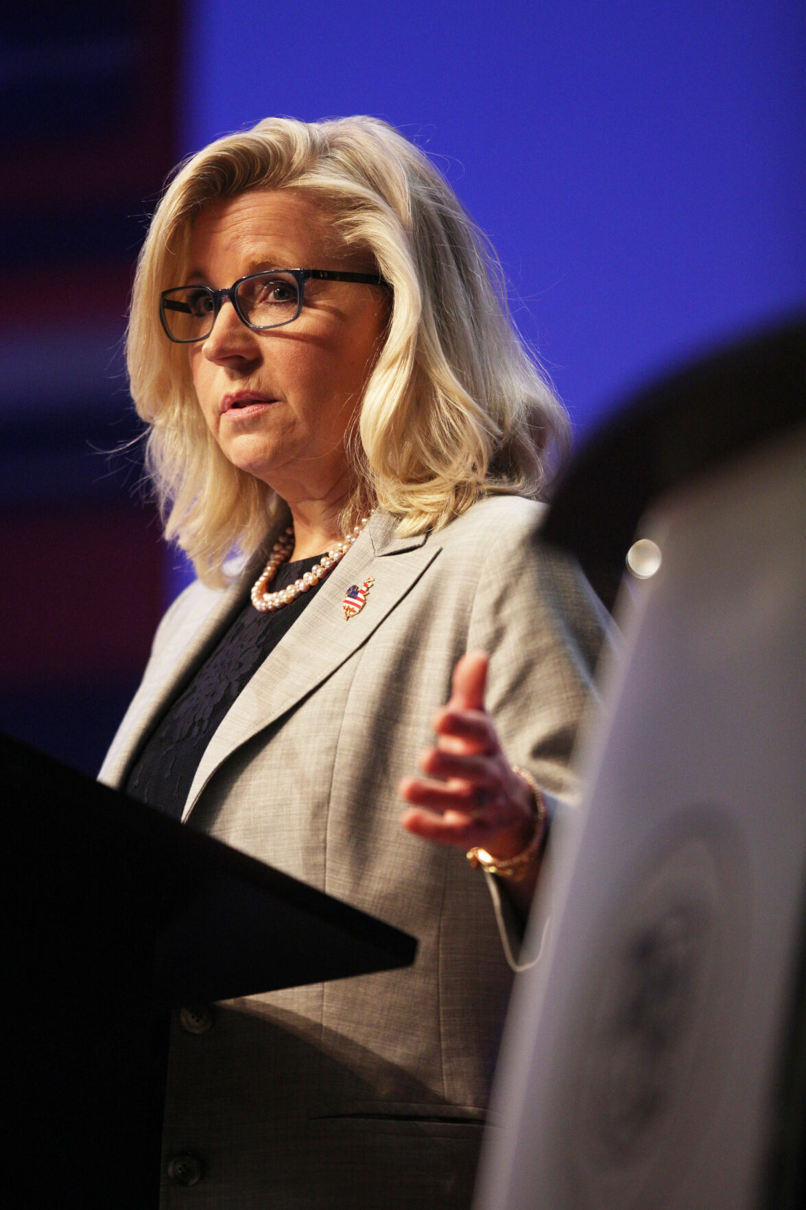 Wyoming US House Congressional Debate